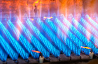 Newtonmill gas fired boilers